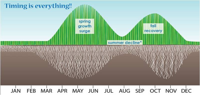 lawn care growth cycle