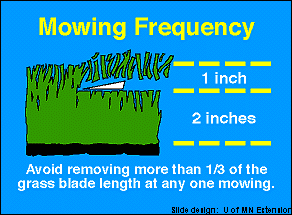 8.4-Mowing Frequency-credit