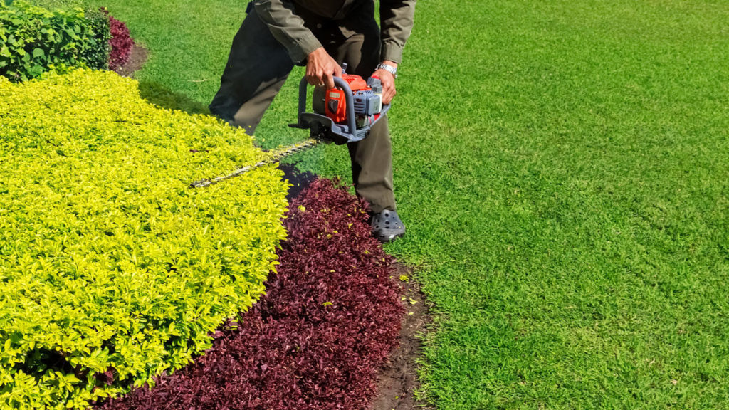 Parkway Trimming and Pruning Lawn Care