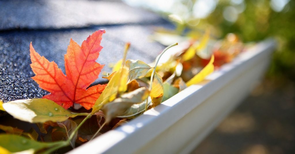 Gutter Cleaning Services in Minneapolis