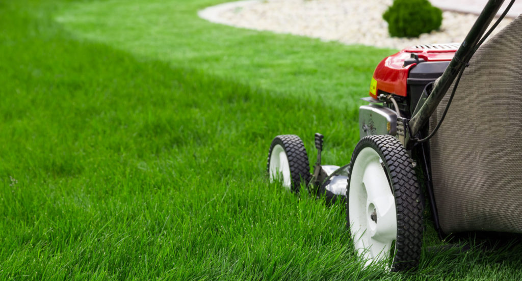 Professional mowing lawn service